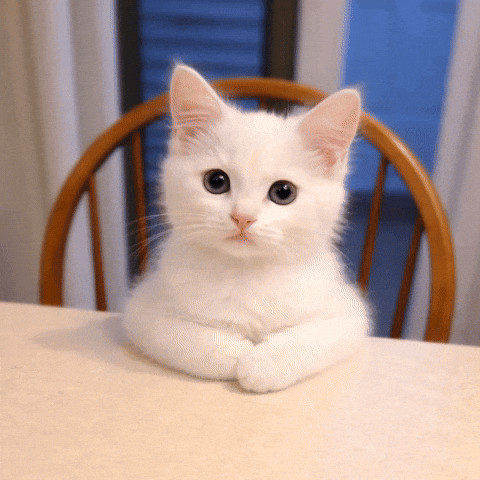 Welcome GIF